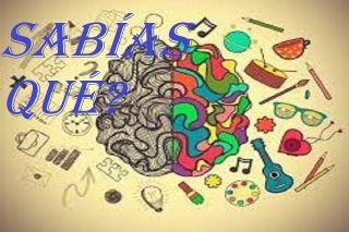 &iquest;Sab&iacute;as qu&eacute;? Datos curiosos sobre el cerebro