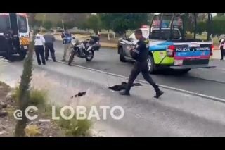 &iexcl;Como animales! polic&iacute;as de la SSC de Puebla atropellan a mujer