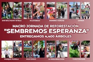 Puebla sostenible con nueva macro jornada de reforestaci&oacute;n "Sembremos Esperanza"