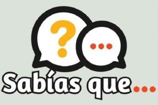 Datos curiosos que de seguro te fascinar&aacute;n &nbsp;