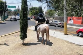Refuerza polic&iacute;a de San Andr&eacute;s Cholula esquemas de seguridad en colonias e inspector&iacute;as