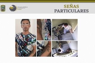 FGE obtuvo vinculaci&oacute;n a proceso de presunto agresor de la perrita &ldquo;Enedina&rdquo;&nbsp;