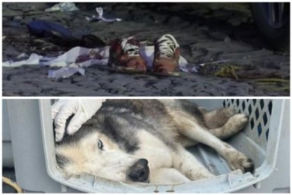 Abaten a balazos a sujeto sorprendido abusando sexualmente de un cachorro en Tlaquepaque