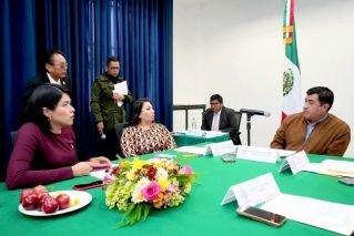 Diputados aprueban en comisi&oacute;n, la minuta para reducir la edad para ocupar cargos p&uacute;blicos