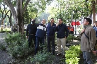 Ayuntamiento de Puebla retirar&aacute; cinco &aacute;rboles del z&oacute;calo afectados por lluvias y vientos at&iacute;picos