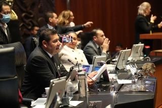 El Senado aprueba reforma electoral en marat&oacute;nica sesi&oacute;n