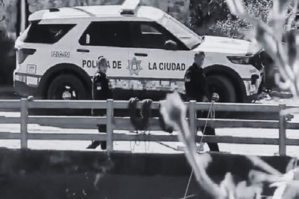Delincuencia Imparable! asesinan y cortan la cabeza de una mujer en la Resurrecci&oacute;n; perros la devoraban