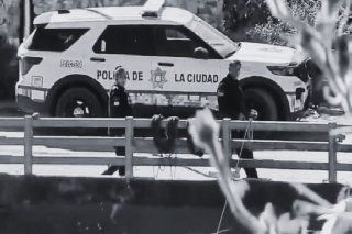 Delincuencia Imparable! asesinan y cortan la cabeza de una mujer en la Resurrecci&oacute;n; perros la devoraban