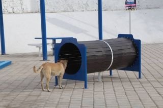 San Sebasti&aacute;n de Aparicio ya disfruta la rehabilitaci&oacute;n del parque Santuario&nbsp;