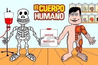 &iquest;Sab&iacute;as Qu&eacute;? Datos curiosos que te sorprender&aacute;n de tu cuerpo