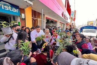 En 27 a&ntilde;os, Armenta promovi&oacute; la entrega de 3 millones de &aacute;rboles en el Estado
