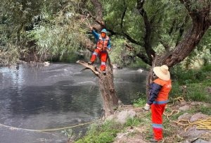 Trabaja Gobierno de la Ciudad en acciones de limpieza preventivas y correctivas previo al inicio de las lluvias