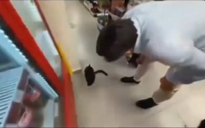 Influencer poblano patea a gatito en tienda y presume c&oacute;mo lo torturar&iacute;a