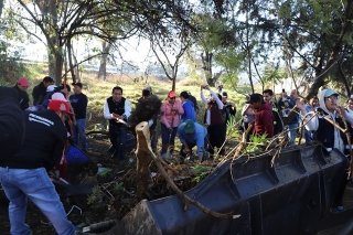 Con apoyo de la comunidad, SEDIF desarrolla con &eacute;xito faena comunitaria en 28 municipios