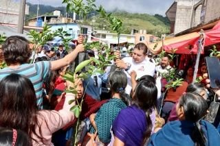 Soy defensor de la 4T a favor de Amlo refrenda Armenta