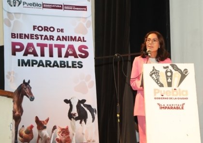Por el bienestar animal el Gobierno de la Ciudad realiz&oacute; el foro participativo "Patitas Imparables"