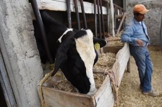 Carroll colabora en mitigar el impacto del Cambio Clim&aacute;tico con la producci&oacute;n de forrajes