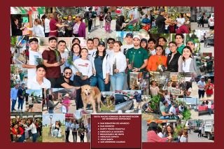 M&aacute;s de 26 mil &aacute;rboles plantados por un futuro verde, cifra hist&oacute;rica de reforestaci&oacute;n al llegar a la 6&ordf; Macro Jornada &ldquo;Sembremos Esperanza&rdquo;